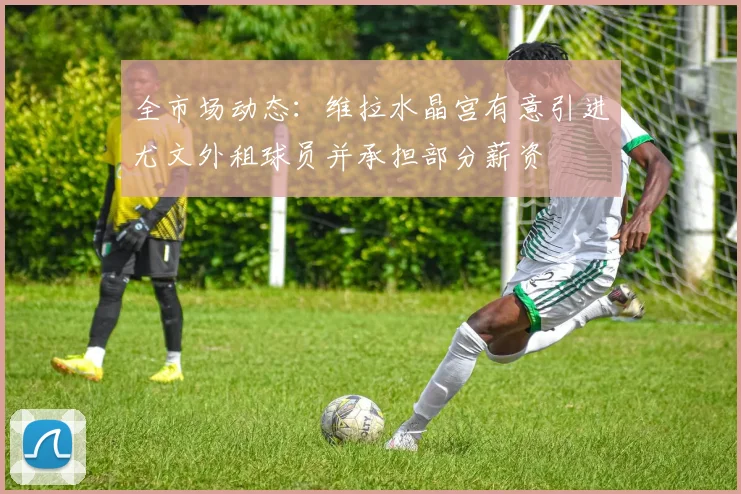 全市场动态：维拉水晶宫有意引进尤文外租球员并承担部分薪资
